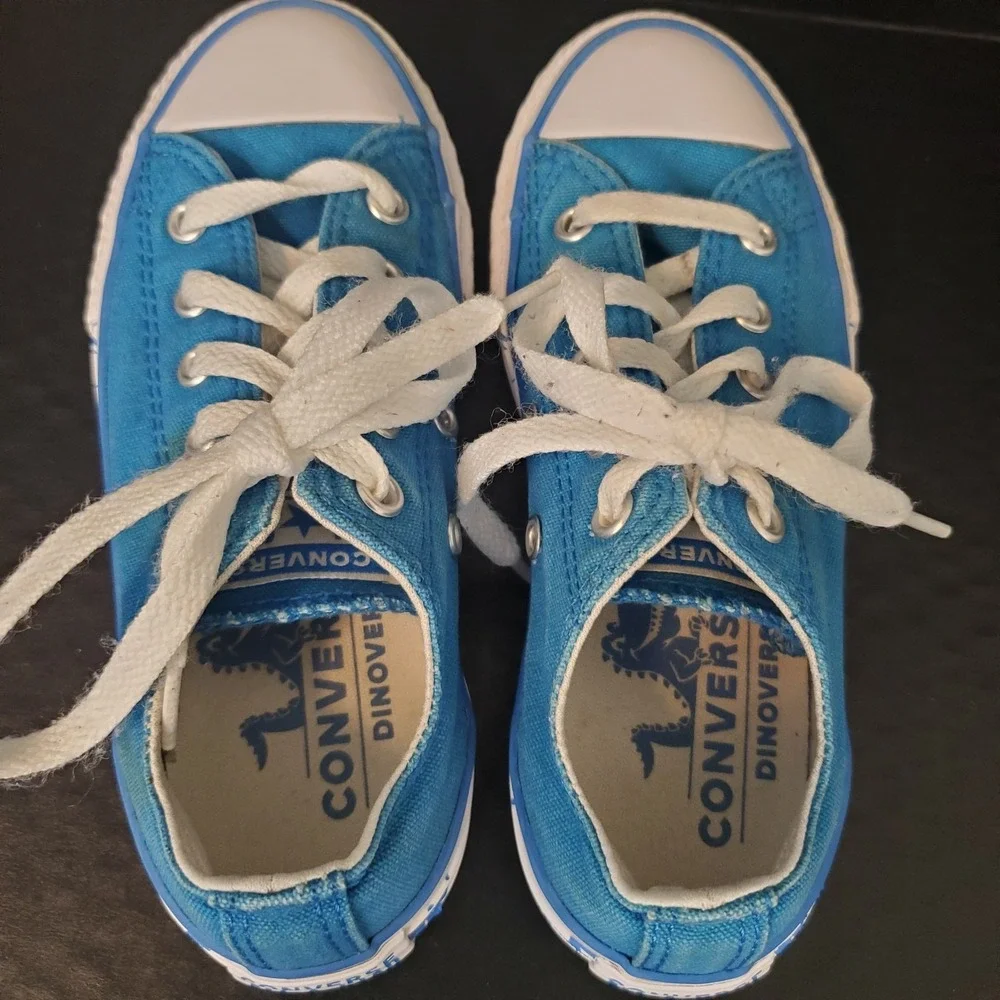 Converse All Star Chuck Taylor Dinoverse Youth 13 Blue Dinosaur Fossil Low Tops*